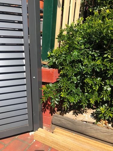 3E2A648F-49A5-4757-B1B0-F20D99B3C659.jpeg 3E2A648F-49A5-4757-B1B0-F20D99B3C659.jpeg