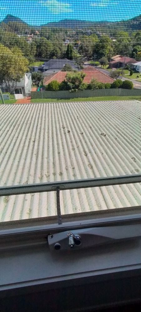 IMG20230331132129.jpg IMG20230331132129.jpg