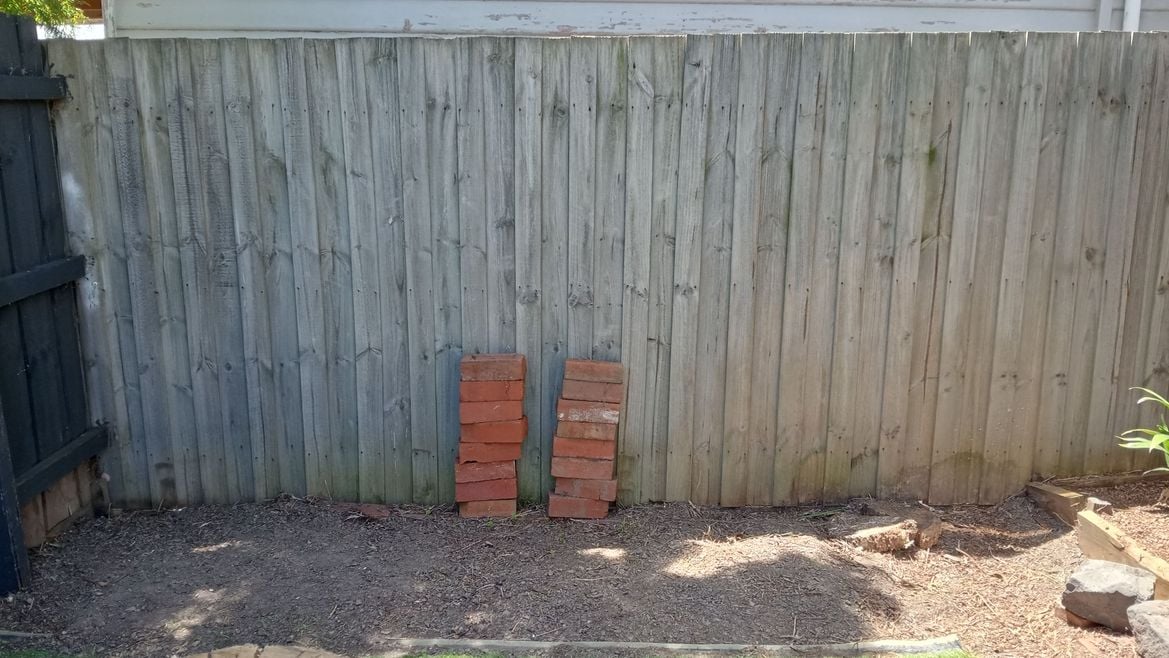 IMG20251211142133.jpg IMG20251211142133.jpg