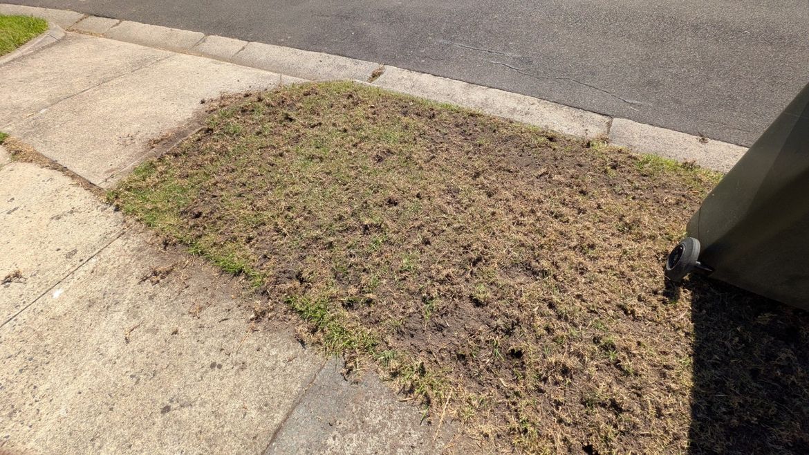 PXL_20250327_014554256.jpg PXL_20250327_014554256.jpg