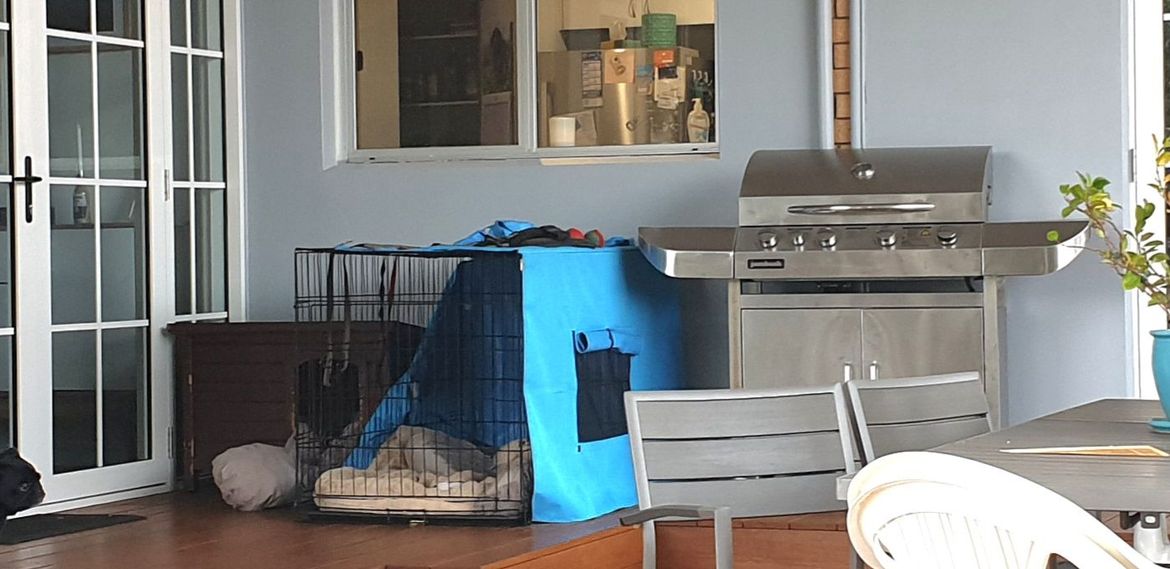 20220709_125314.jpg 20220709_125314.jpg