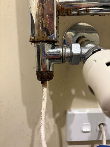 IMG_1521.jpeg IMG_1521.jpeg