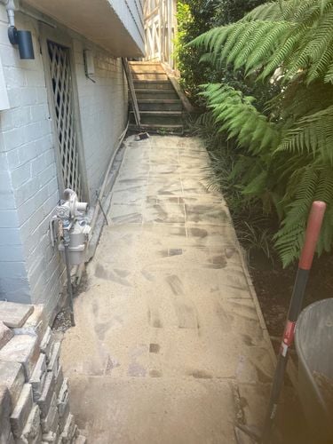 IMG_6788.jpeg IMG_6788.jpeg