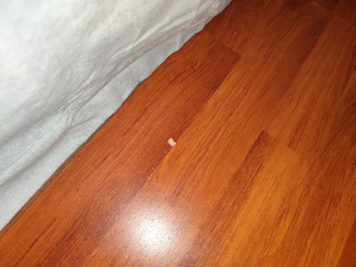 IMG_20250119_190209_copy_2040x1530.jpg IMG_20250119_190209_copy_2040x1530.jpg