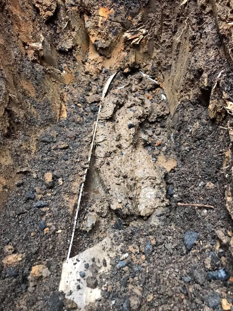 13 29-07-2021.jpg 13 29-07-2021.jpg