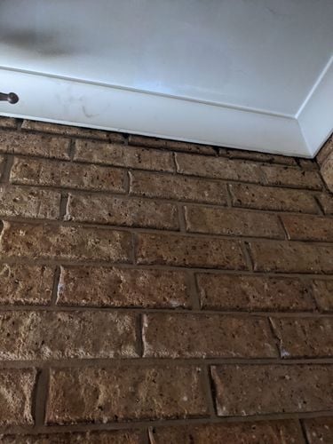 1000000538.jpg 1000000538.jpg