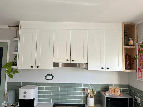 IMG_3510.jpeg IMG_3510.jpeg