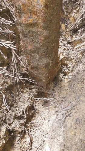 20250123_130459.jpg 20250123_130459.jpg