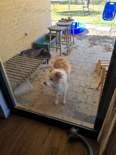 20230109_095957.jpg 20230109_095957.jpg