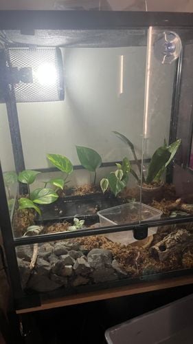 IMG_7383.jpeg IMG_7383.jpeg