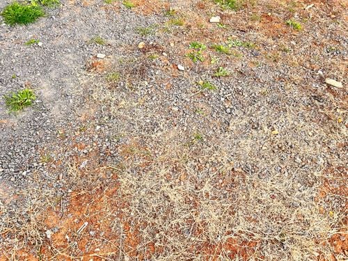 IMG_1853.jpeg IMG_1853.jpeg