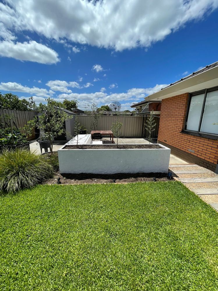 IMG_0420.JPEG IMG_0420.JPEG