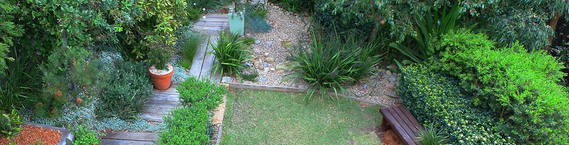 Hero 1.png Hero 1.png