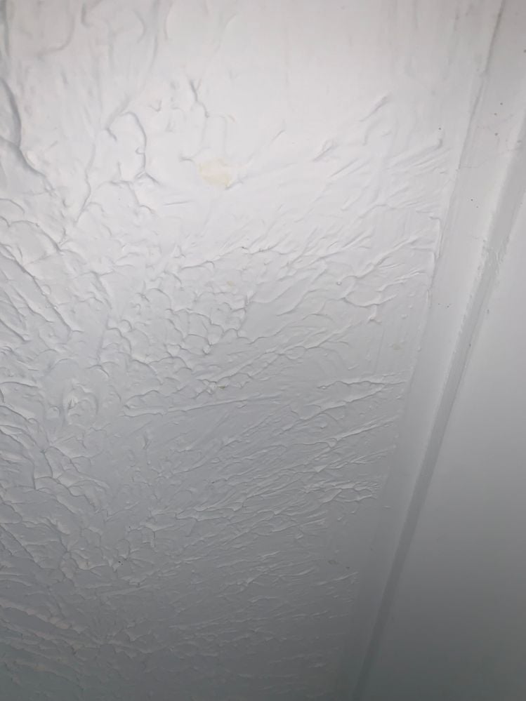 IMG_3249.JPG IMG_3249.JPG