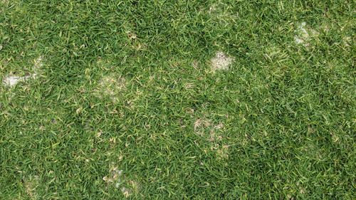 1000007979.jpg 1000007979.jpg