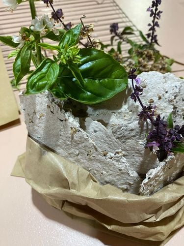 IMG_8164.jpeg IMG_8164.jpeg