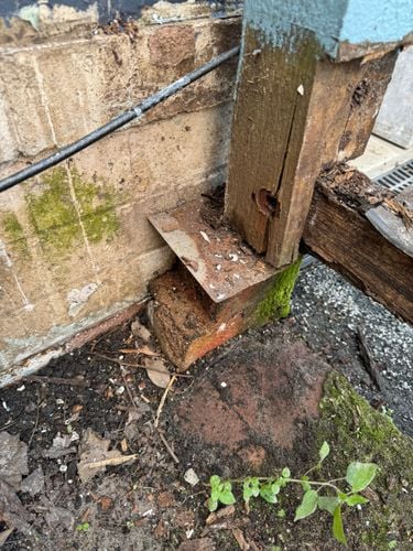 IMG_3347.jpeg IMG_3347.jpeg