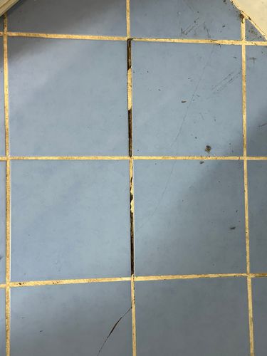 IMG_5924.jpeg IMG_5924.jpeg