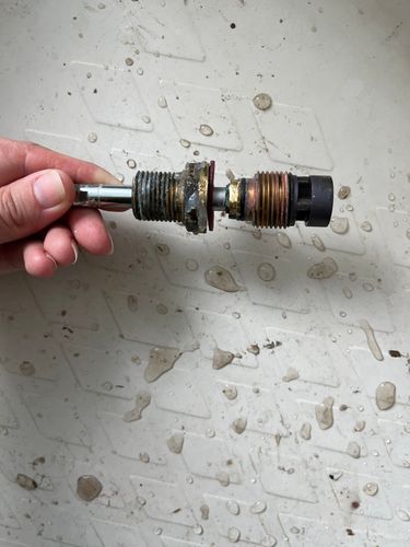 IMG_5792.jpeg IMG_5792.jpeg