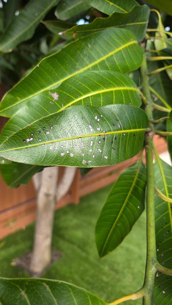 20251112_151949.jpg 20251112_151949.jpg