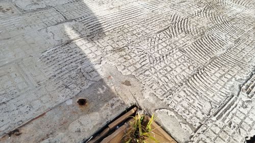 1000016974.jpg 1000016974.jpg