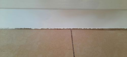 20211014_112345.jpg 20211014_112345.jpg