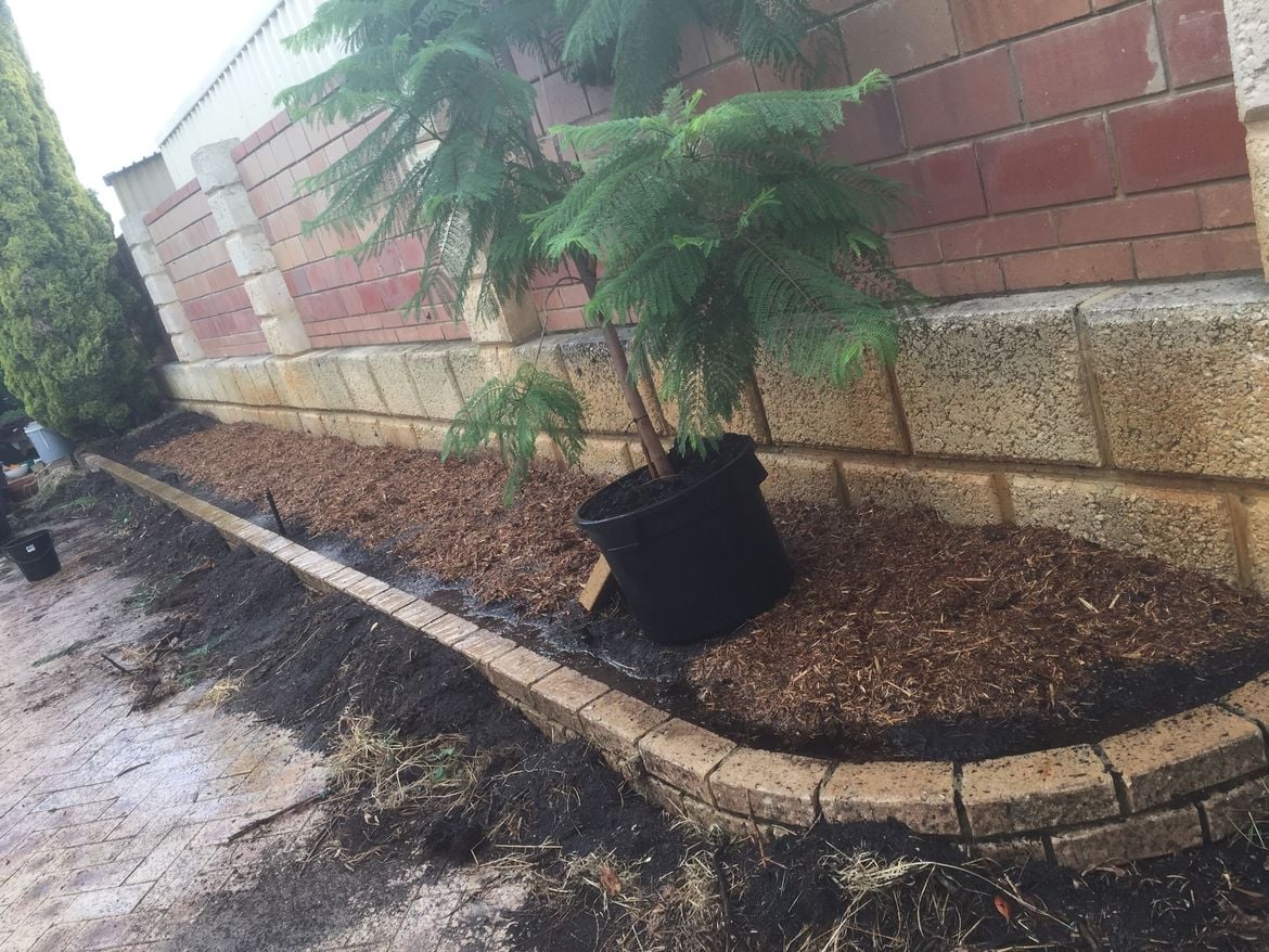 F919C2D0-A93F-41FD-A48D-D485F11763AD.jpeg F919C2D0-A93F-41FD-A48D-D485F11763AD.jpeg