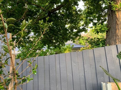 IMG_5948.jpeg IMG_5948.jpeg