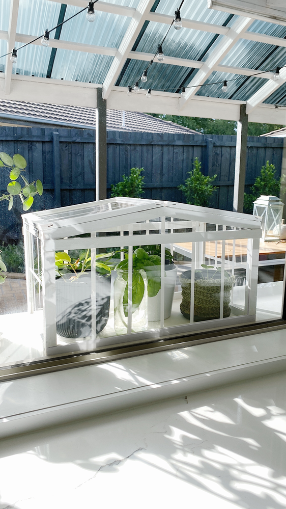 IMG_9201.png IMG_9201.png