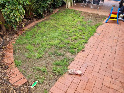 20220927_103528.jpg 20220927_103528.jpg