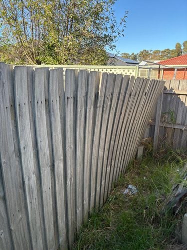 IMG_7918.jpeg IMG_7918.jpeg