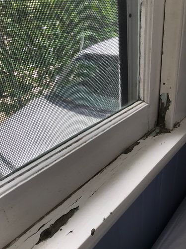 AE60F654-43D1-40E2-B9B2-7094935904FA.jpeg AE60F654-43D1-40E2-B9B2-7094935904FA.jpeg