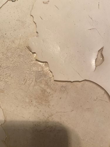 IMG_6381.jpeg IMG_6381.jpeg