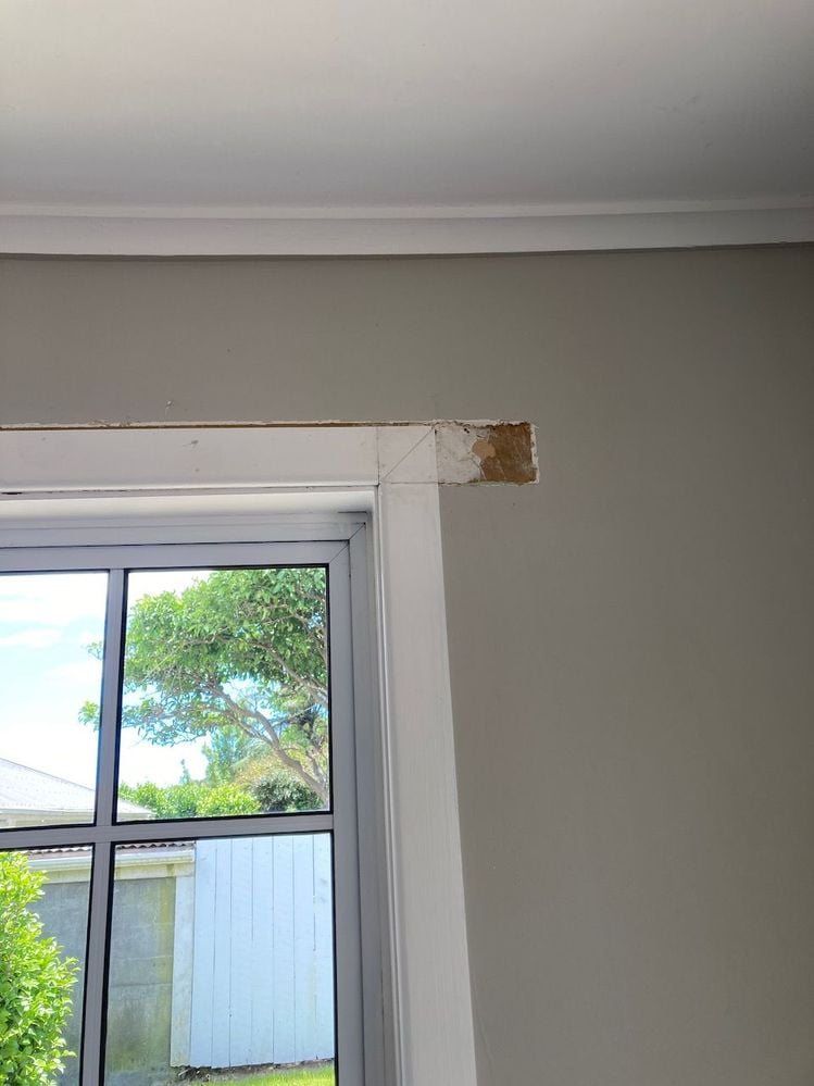 IMG_0227.jpeg IMG_0227.jpeg