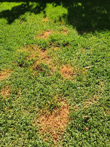 20230102_095436.jpg 20230102_095436.jpg