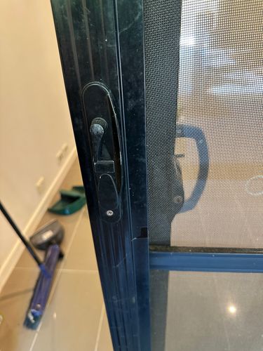 IMG_8997.jpeg IMG_8997.jpeg