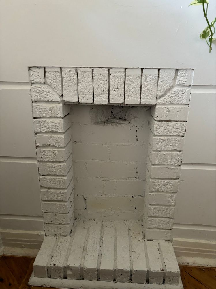 IMG_2547.jpeg IMG_2547.jpeg