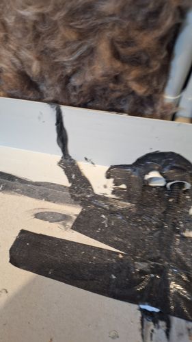 1000053343.jpg 1000053343.jpg