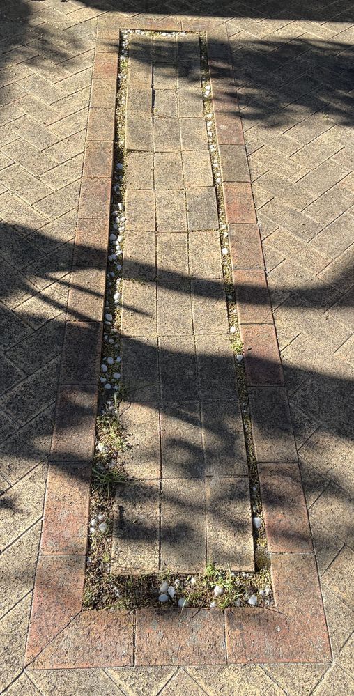 pavers 2.jpg pavers 2.jpg