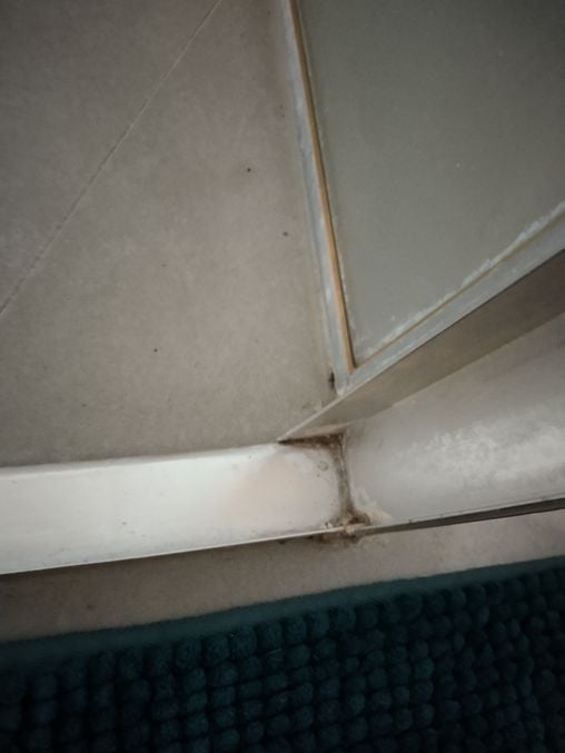 IMG_20250118_063734.jpg IMG_20250118_063734.jpg