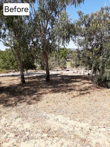 20191123_143031.jpg 20191123_143031.jpg