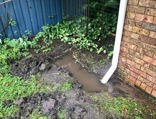 44E85A44-180A-4E3D-8669-E0CEEF7E3F28.jpeg 44E85A44-180A-4E3D-8669-E0CEEF7E3F28.jpeg