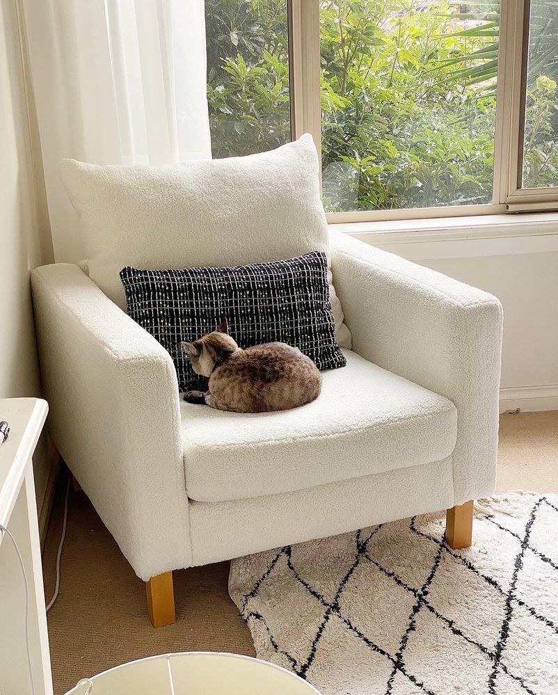 Photo 27-6-22, 6 38 15 pm.jpg Photo 27-6-22, 6 38 15 pm.jpg