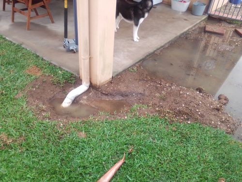 16238869806152254986732257814420.jpg 16238869806152254986732257814420.jpg