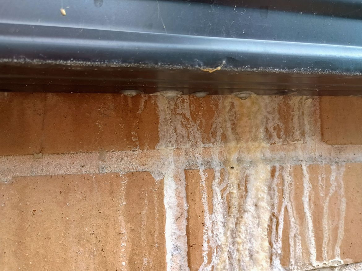 IMG_20250111_105216199_HDR_AE.jpg IMG_20250111_105216199_HDR_AE.jpg