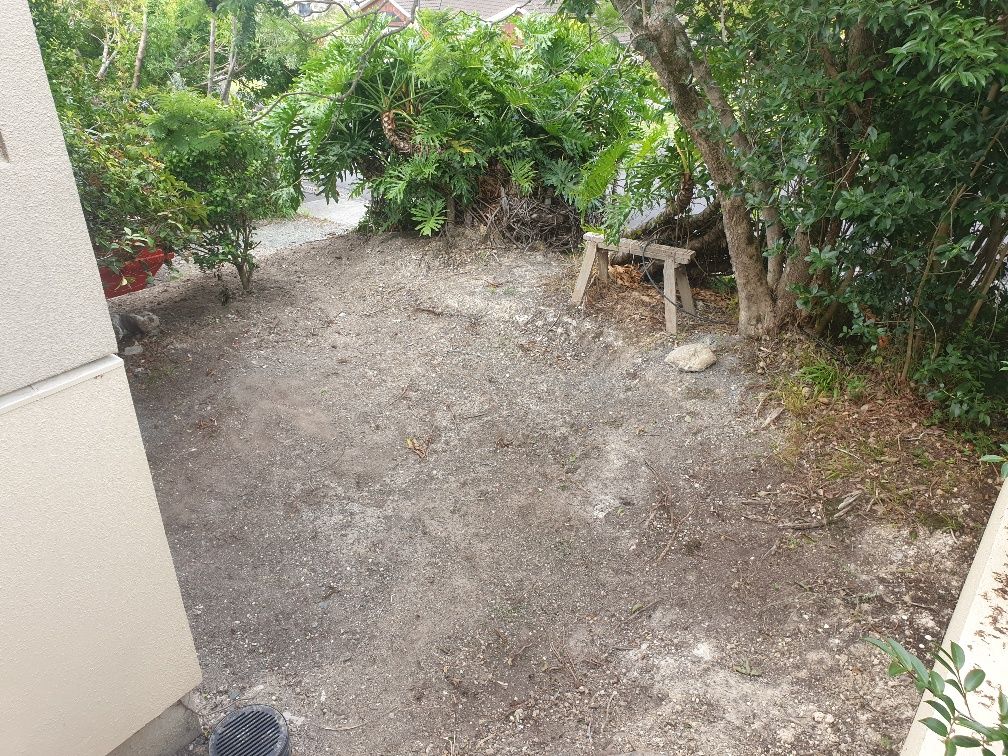 20220216_175218_resized.jpg 20220216_175218_resized.jpg