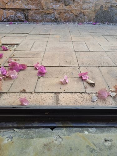 20240523_104519.jpg 20240523_104519.jpg