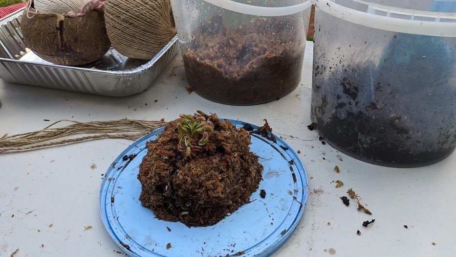 PXL_20240727_053633004.jpg PXL_20240727_053633004.jpg