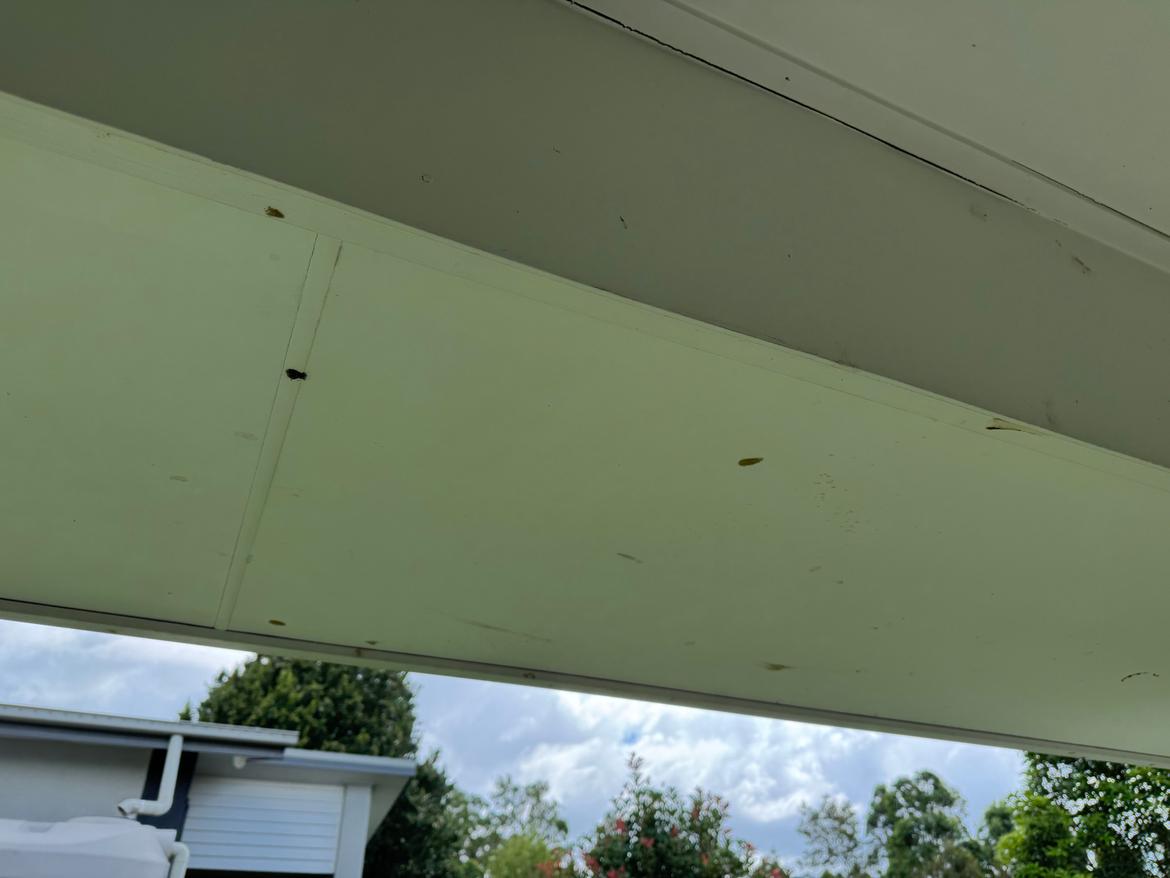 IMG_1342.jpeg IMG_1342.jpeg