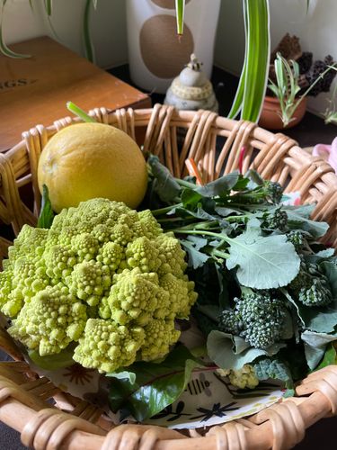 0CA9B8AF-CD0A-489F-88D9-1D96420873AD.jpeg 0CA9B8AF-CD0A-489F-88D9-1D96420873AD.jpeg